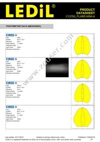 C12763_FLARE-MINI-A Datasheet Page 3