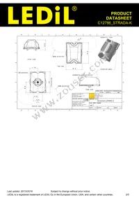 C12786_STRADA-K Datasheet Page 2