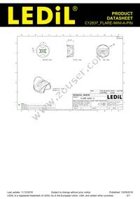 C12837_FLARE-MINI-A-PIN Datasheet Page 2