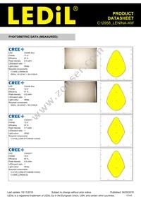 C12958_LENINA-XW Datasheet Page 17