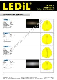 C13012_FLARE-MAXI-D Datasheet Page 4