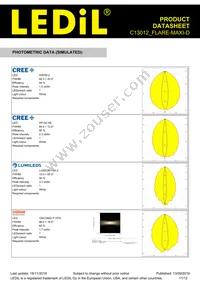 C13012_FLARE-MAXI-D Datasheet Page 11