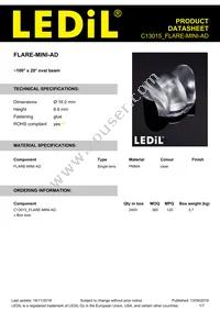 C13015_FLARE-MINI-AD Datasheet Cover