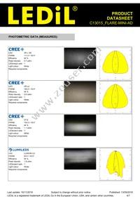 C13015_FLARE-MINI-AD Datasheet Page 4