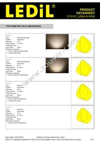 C13101_LENA-X-WAS Datasheet Page 2