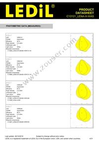 C13101_LENA-X-WAS Datasheet Page 4