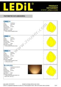 C13101_LENA-X-WAS Datasheet Page 12