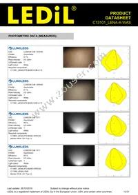 C13101_LENA-X-WAS Datasheet Page 13