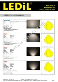 C13101_LENA-X-WAS Datasheet Page 20