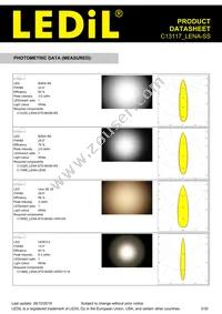 C13117_LENA-SS Datasheet Page 3