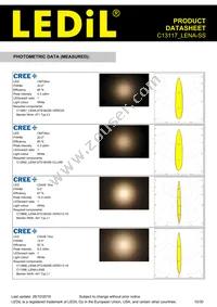 C13117_LENA-SS Datasheet Page 10