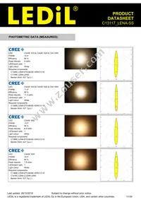 C13117_LENA-SS Datasheet Page 11