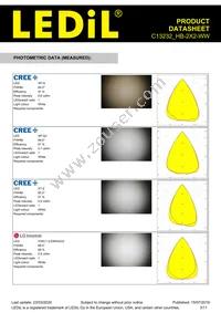 C13232_HB-2X2-WW Datasheet Page 3