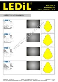 C13253_TINA2-R-CLIP16 Datasheet Page 3