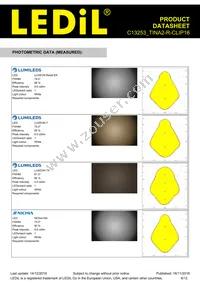 C13253_TINA2-R-CLIP16 Datasheet Page 6