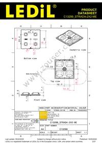 C13299_STRADA-2X2-ME Datasheet Page 2