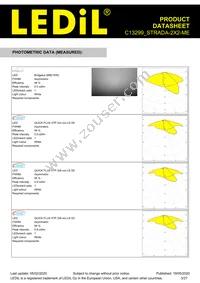 C13299_STRADA-2X2-ME Datasheet Page 3