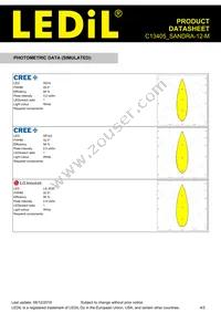 C13405_SANDRA-12-M Datasheet Page 4