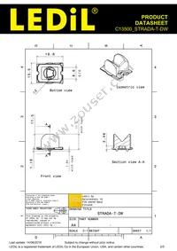 C13500_STRADA-T-DW Datasheet Page 2