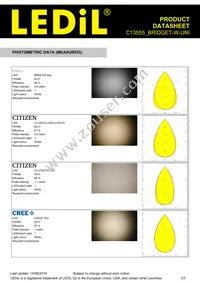 C13555_BRIDGET-W-UNI Datasheet Page 3