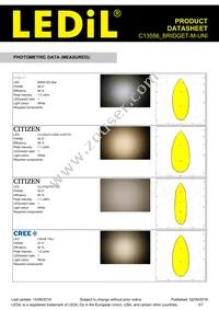 C13556_BRIDGET-M-UNI Datasheet Page 3