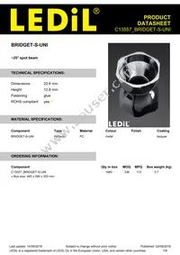 C13557_BRIDGET-S-UNI Datasheet Cover