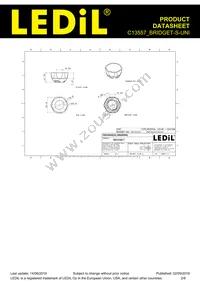 C13557_BRIDGET-S-UNI Datasheet Page 2