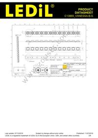 C13869_VANESSA-B-S Datasheet Page 2