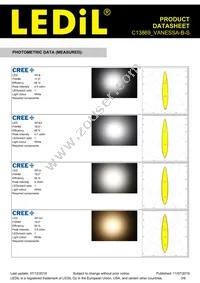 C13869_VANESSA-B-S Datasheet Page 3