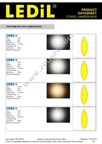 C13870_VANESSA-B-W Datasheet Page 3