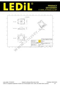 C13956_STRADA-C2-NP Datasheet Page 2