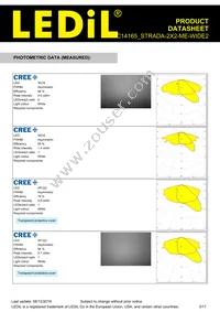 C14165_STRADA-2X2-ME-WIDE2 Datasheet Page 3