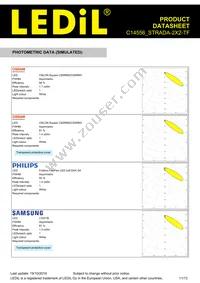 C14556_STRADA-2X2-TF Datasheet Page 11