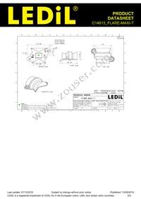 C14613_FLARE-MAXI-T Datasheet Page 2