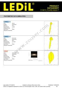 C14613_FLARE-MAXI-T Datasheet Page 4