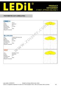 C14657_STRADA-SQ-ANZ-V Datasheet Page 4