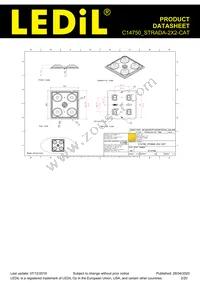 C14750_STRADA-2X2-CAT Datasheet Page 2