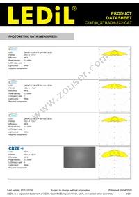 C14750_STRADA-2X2-CAT Datasheet Page 3