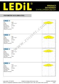 C14750_STRADA-2X2-CAT Datasheet Page 12