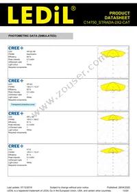 C14750_STRADA-2X2-CAT Datasheet Page 13