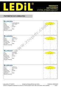 C14750_STRADA-2X2-CAT Datasheet Page 15