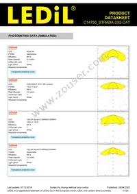 C14750_STRADA-2X2-CAT Datasheet Page 17