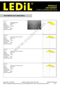C15014_STRADA-2X2-T4-B Datasheet Page 3