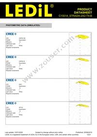 C15014_STRADA-2X2-T4-B Datasheet Page 12