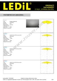 C15021_STRADA-2X2-SCL Datasheet Page 3