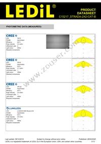 C15217_STRADA-2X2-CAT-B Datasheet Page 3