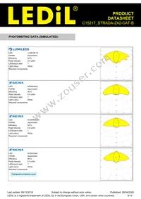 C15217_STRADA-2X2-CAT-B Datasheet Page 9