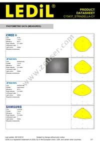 C15437_STRADELLA-CY Datasheet Page 3