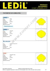 C15437_STRADELLA-CY Datasheet Page 4