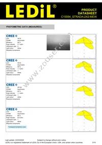 C15594_STRADA-2X2-MEW Datasheet Page 3